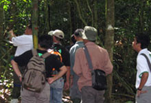 Media taking pictures of rhino's food saplings